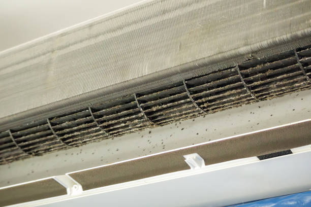 Home Air Vent Cleaning in Stickney, IL